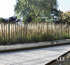 omega photo 6