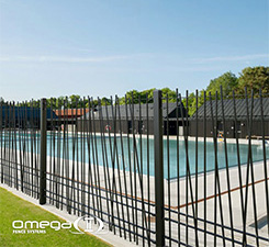 omega photo 8