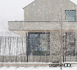 omega photo 9